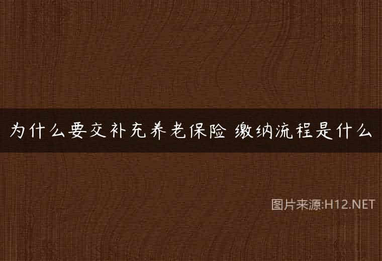 为什么要交补充养老保险 缴纳流程是什么