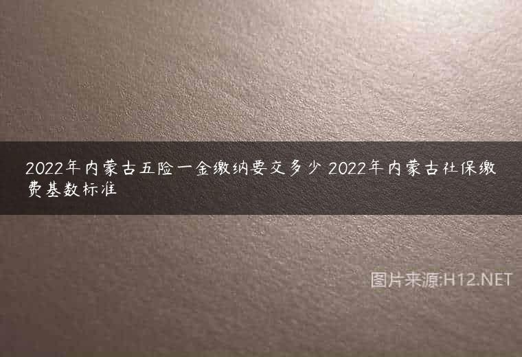 2022年内蒙古五险一金缴纳要交多少 2022年内蒙古社保缴费基数标准