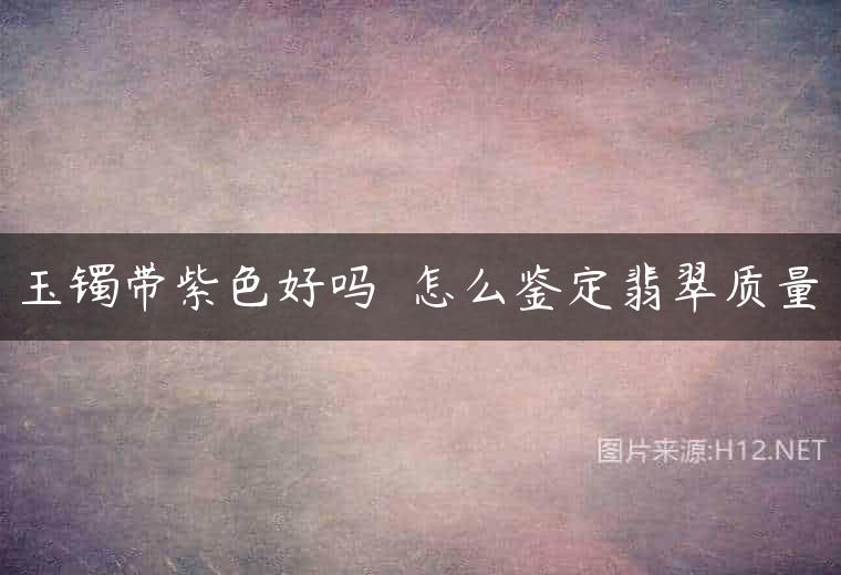 玉镯带紫色好吗  怎么鉴定翡翠质量