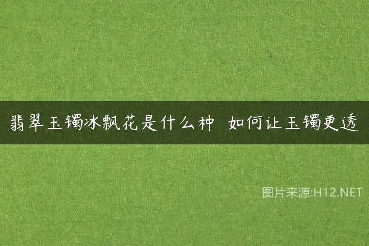 翡翠玉镯冰飘花是什么种  如何让玉镯更透