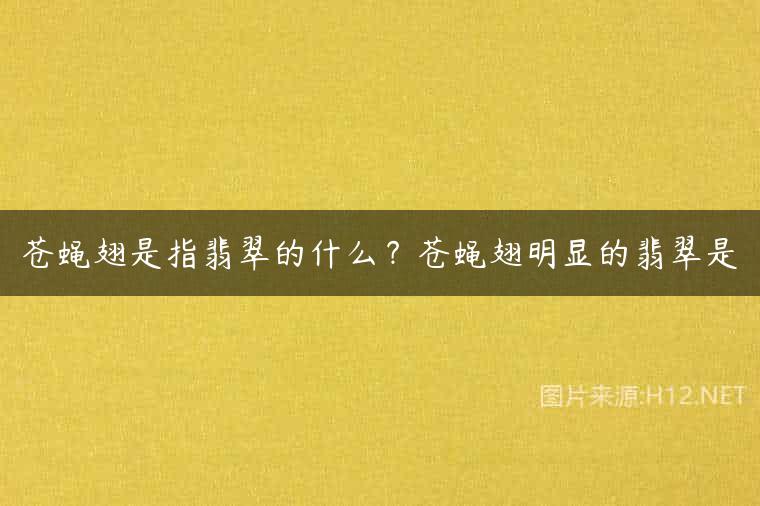苍蝇翅是指翡翠的什么？苍蝇翅明显的翡翠是