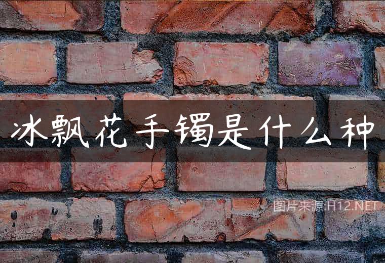冰飘花手镯是什么种