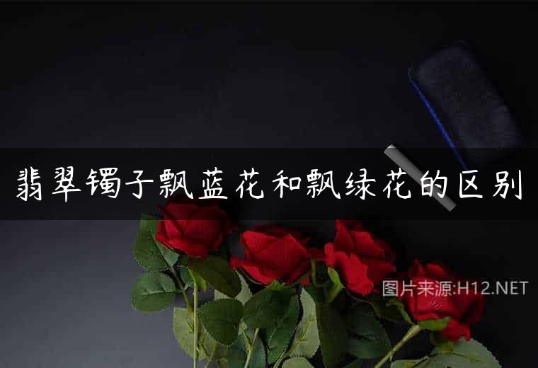 翡翠镯子飘蓝花和飘绿花的区别
