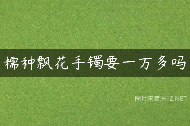 糯种飘花手镯要一万多吗