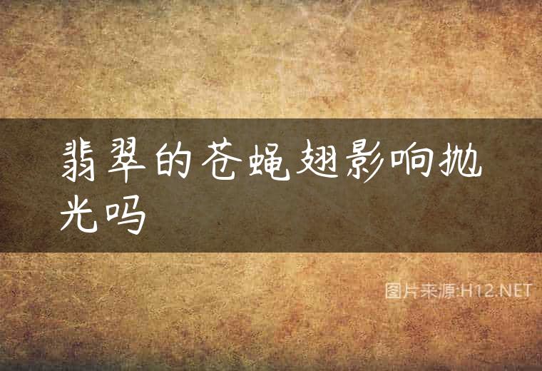 翡翠的苍蝇翅影响抛光吗