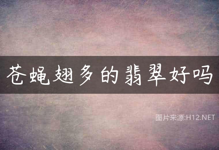 苍蝇翅多的翡翠好吗