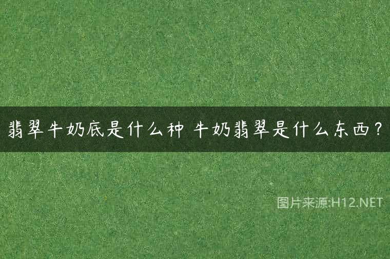 翡翠牛奶底是什么种 牛奶翡翠是什么东西？