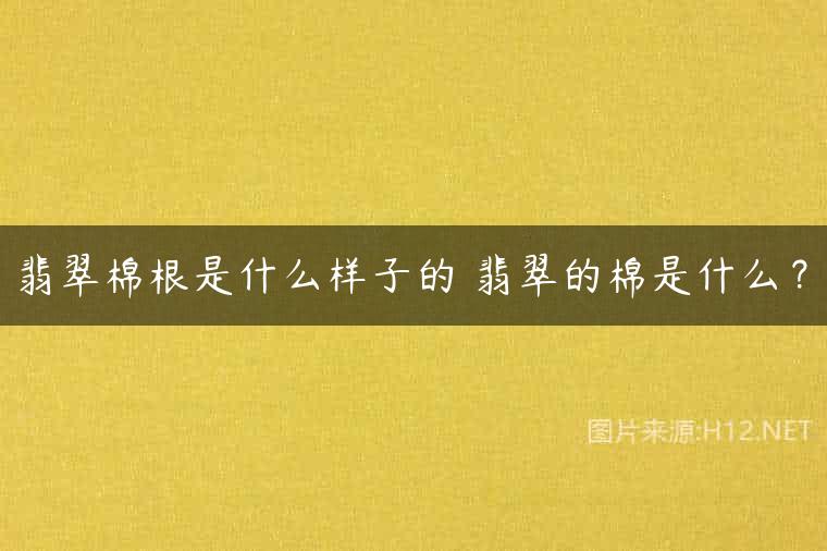 翡翠棉根是什么样子的 翡翠的棉是什么？
