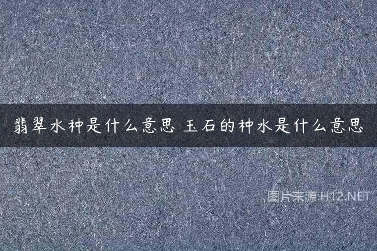 翡翠水种是什么意思 玉石的种水是什么意思