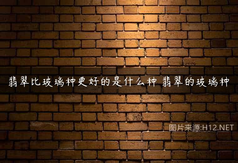 翡翠比玻璃种更好的是什么种 翡翠的玻璃种