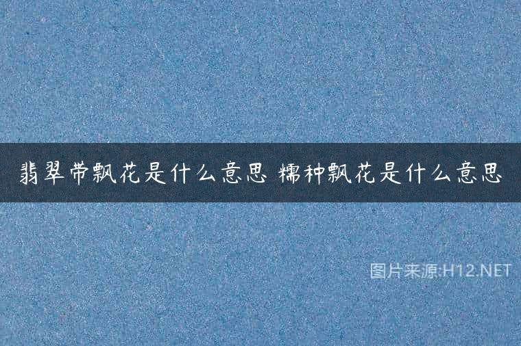 翡翠带飘花是什么意思 糯种飘花是什么意思