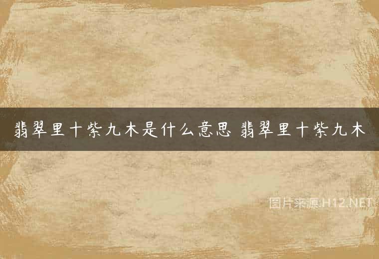 翡翠里十紫九木是什么意思 翡翠里十紫九木