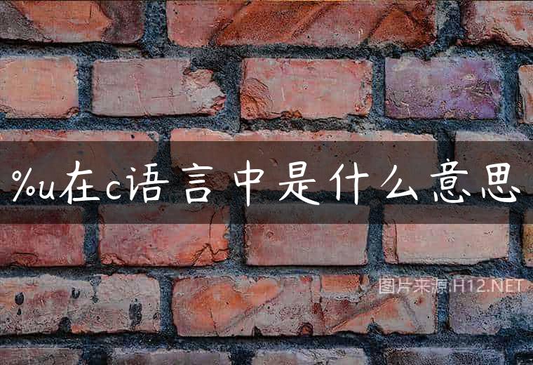 %u在c语言中是什么意思