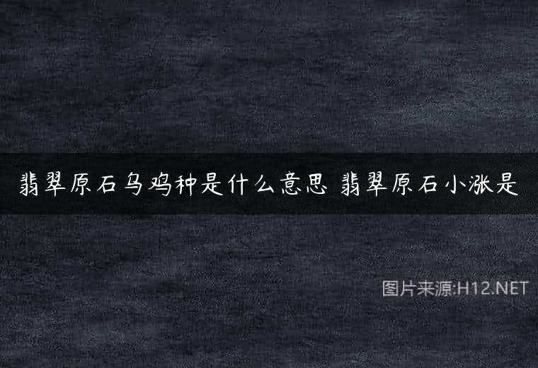 翡翠原石乌鸡种是什么意思 翡翠原石小涨是