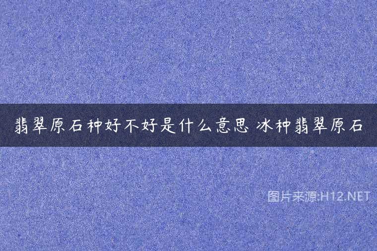 翡翠原石种好不好是什么意思 冰种翡翠原石