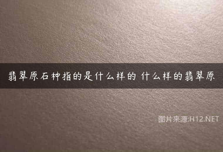 翡翠原石种指的是什么样的 什么样的翡翠原