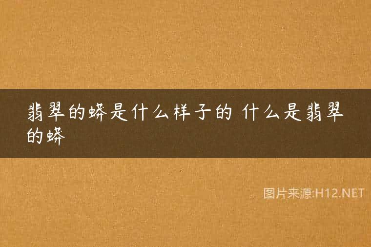 翡翠的蟒是什么样子的 什么是翡翠的蟒