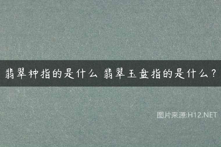 翡翠种指的是什么 翡翠玉盘指的是什么？