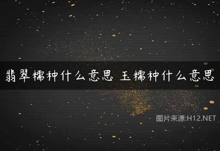 翡翠糯种什么意思 玉糯种什么意思