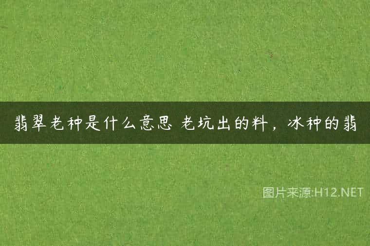翡翠老种是什么意思 老坑出的料，冰种的翡