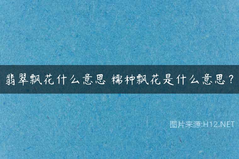 翡翠飘花什么意思 糯种飘花是什么意思？