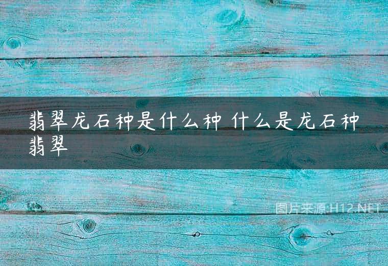 翡翠龙石种是什么种 什么是龙石种翡翠