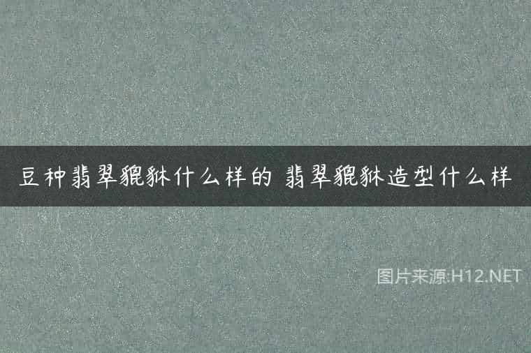 豆种翡翠貔貅什么样的 翡翠貔貅造型什么样