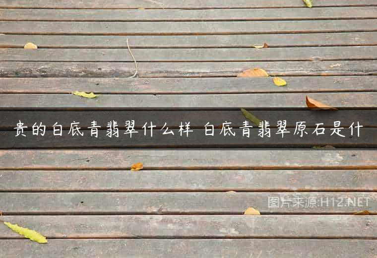 贵的白底青翡翠什么样 白底青翡翠原石是什