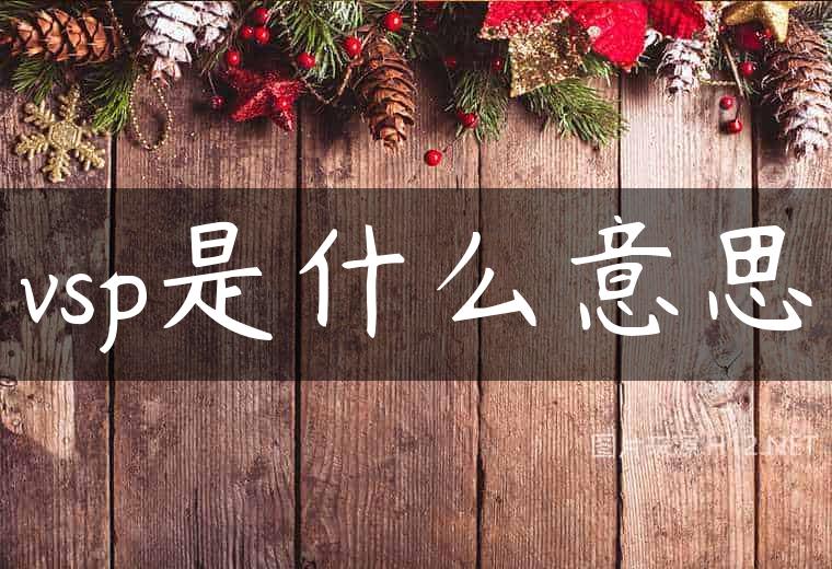 vsp是什么意思