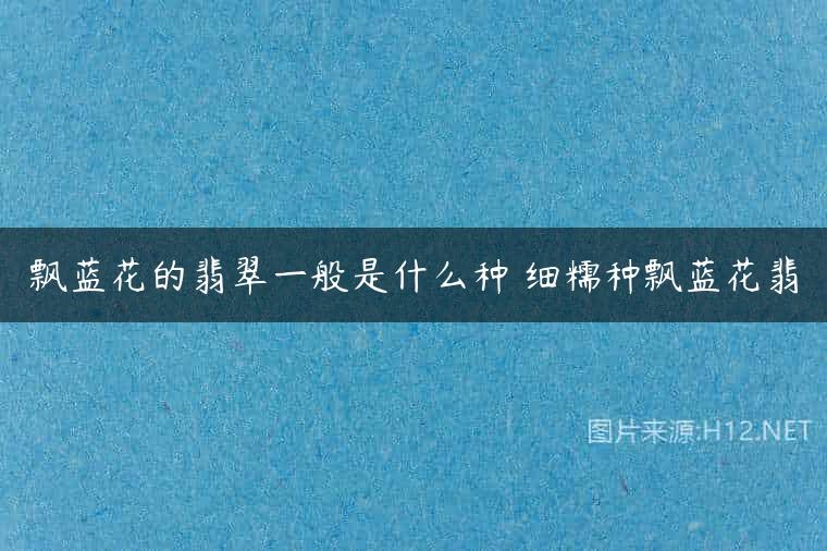 飘蓝花的翡翠一般是什么种 细糯种飘蓝花翡