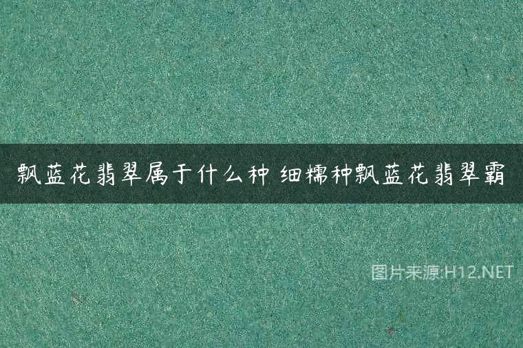 飘蓝花翡翠属于什么种 细糯种飘蓝花翡翠霸