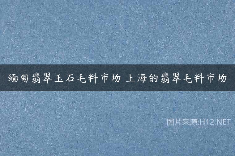 缅甸翡翠玉石毛料市场 上海的翡翠毛料市场
