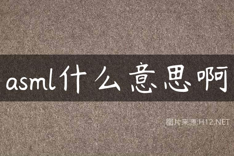 asml什么意思啊