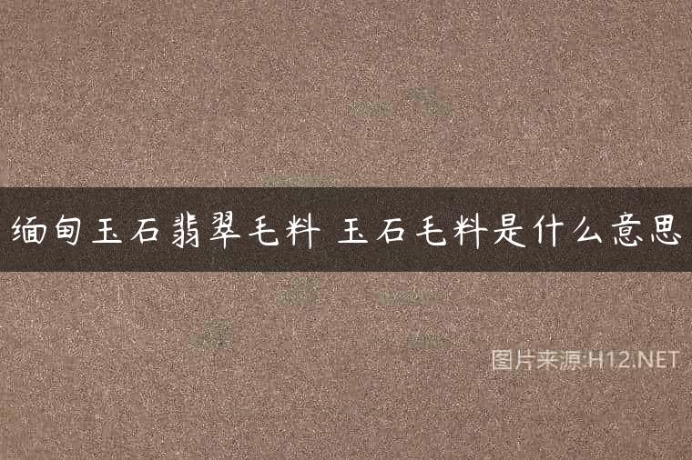 缅甸玉石翡翠毛料 玉石毛料是什么意思