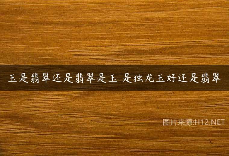 玉是翡翠还是翡翠是玉 是独龙玉好还是翡翠