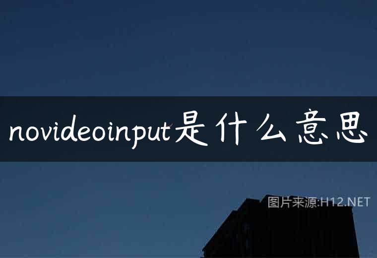 novideoinput是什么意思