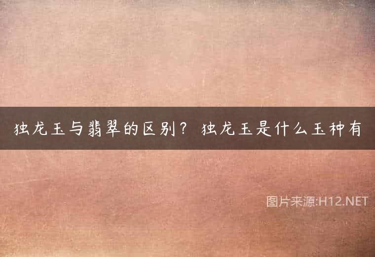 独龙玉与翡翠的区别？ 独龙玉是什么玉种有