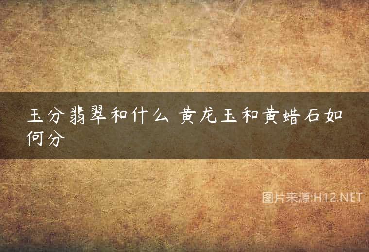 玉分翡翠和什么 黄龙玉和黄蜡石如何分
