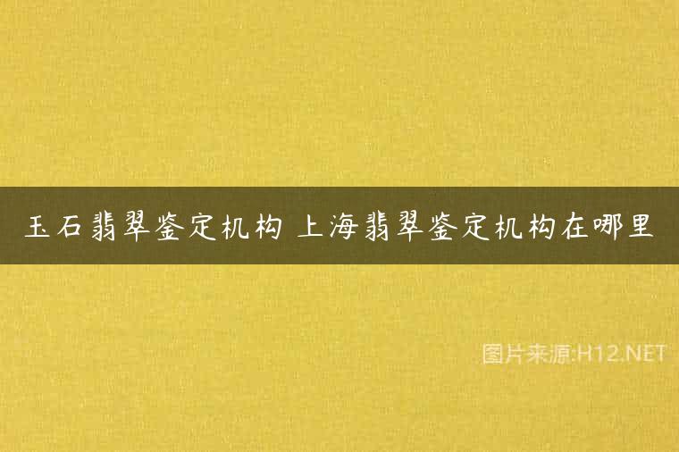 玉石翡翠鉴定机构 上海翡翠鉴定机构在哪里