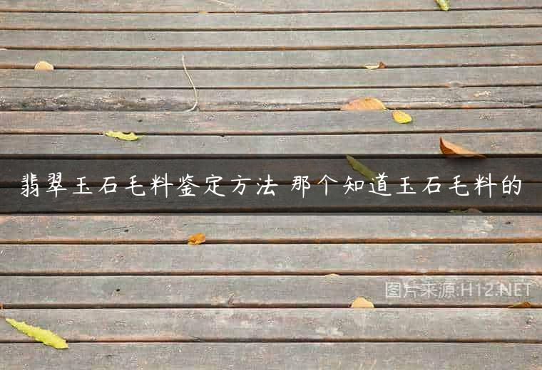 翡翠玉石毛料鉴定方法 那个知道玉石毛料的