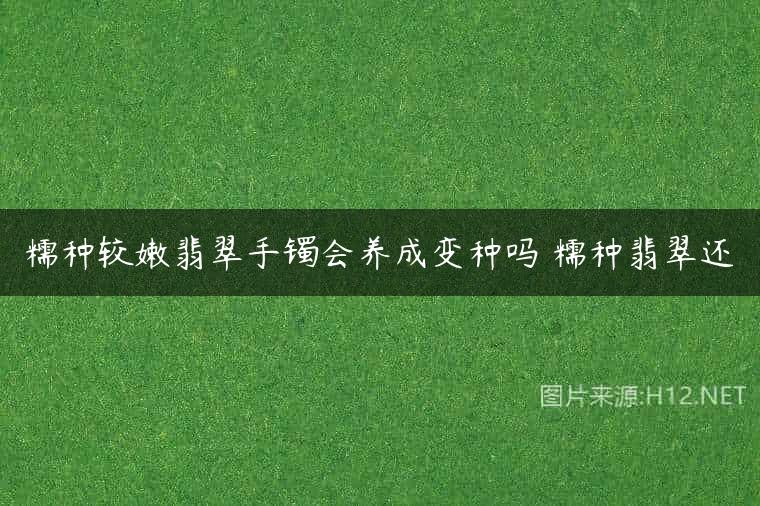 糯种较嫩翡翠手镯会养成变种吗 糯种翡翠还