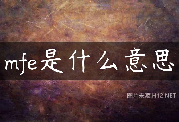 mfe是什么意思