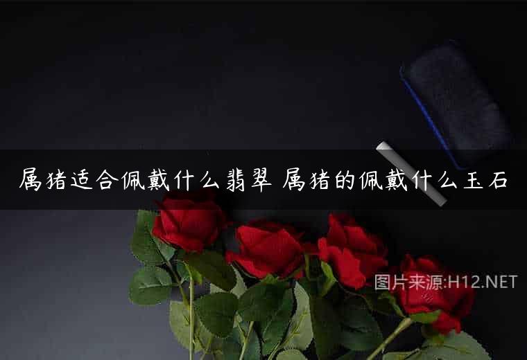 属猪适合佩戴什么翡翠 属猪的佩戴什么玉石