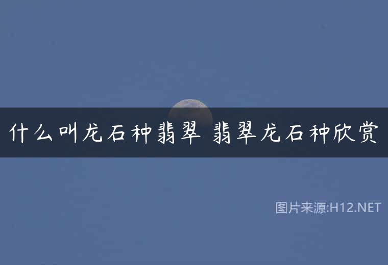 什么叫龙石种翡翠 翡翠龙石种欣赏