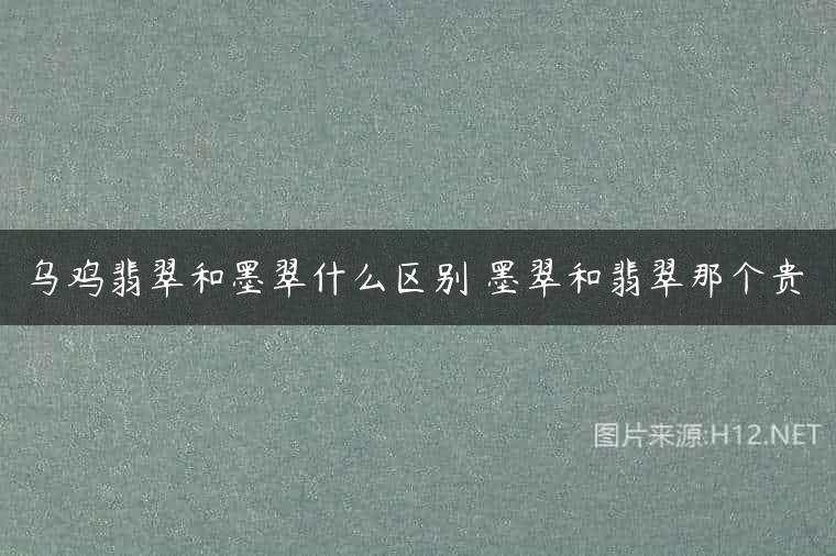 乌鸡翡翠和墨翠什么区别 墨翠和翡翠那个贵
