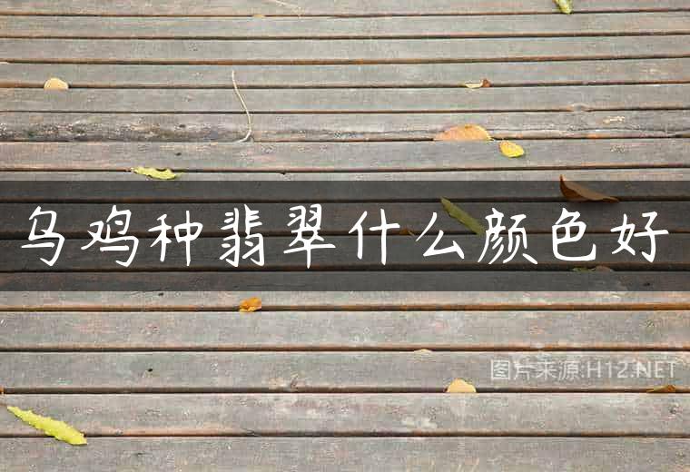 乌鸡种翡翠什么颜色好