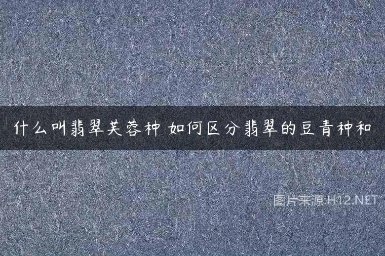 什么叫翡翠芙蓉种 如何区分翡翠的豆青种和