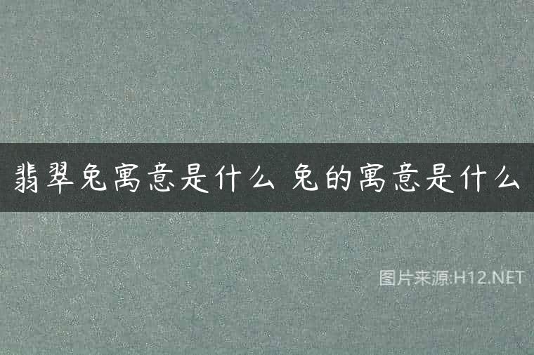 翡翠兔寓意是什么 兔的寓意是什么