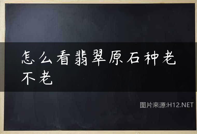 怎么看翡翠原石种老不老