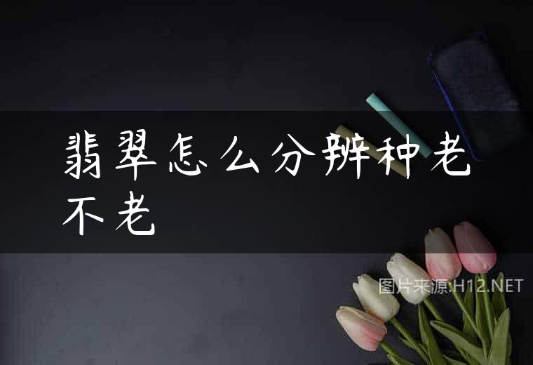 翡翠怎么分辨种老不老